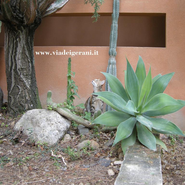 Sìnnai Via Dei Gerani B&B المظهر الخارجي الصورة